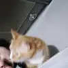 Daniel Conde - @daniel.conde90 - TikTok