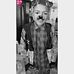 Daniel Condor - Facebook