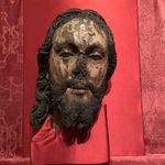 Daniel Conlan - @danimamammal - Instagram