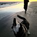 Daniel Connaughton - Facebook