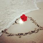 @daniel_conner_ - Instagram