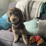 Daniel Conroy - @dan_conroy27 - Instagram