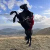 Daniel - @daniel.considine - TikTok