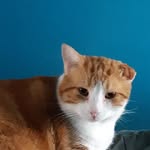 Daniel Constantineau - @daniel.constantineau.50 - Instagram