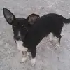 Daniel Consuegra - @daniel.consuegra56 - TikTok
