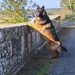 Daniel Contini - Facebook