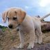 Daniel Cony - Facebook