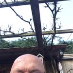 @daniel.coolen - Instagram