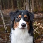 Daniel Cooney - @daniel.cooney.359 - Instagram
