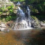 Daniel Cooney - @daniel.cooney.754 - Instagram