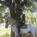 Daniel Coplin - Facebook