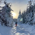 Daniel Copp - @danielcopp__2007 - Instagram