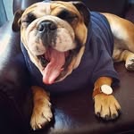 Daniel copper - @daniel2007993 - Instagram