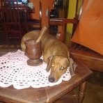 Daniel Corbalan - Facebook