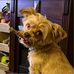 Corby Daniel - Facebook