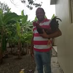 Daniel Corcino - @corcino.daniel - Instagram