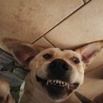 Daniel Cordes - @daniel.cordes.332 - Instagram