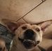 Daniel Cordes - Facebook