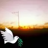 rowenacordialdaniel - @rowenacordialdaniel - TikTok