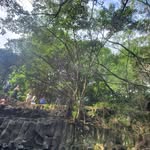 Daniel Corea - @daycrescent8069 - Instagram