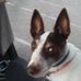 Daniel Corcoran - Facebook