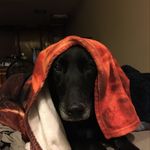Daniel Cormican - @dcormican12 - Instagram