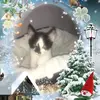 danielecorneau - @danielecorneau - TikTok