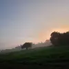 danielcornelius_ - @danielcornelius_8 - TikTok