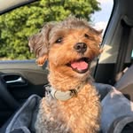 Daniel Cornely - @cornely_daniel - Instagram