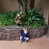 Daniel Corner - @dancorner8 - TikTok