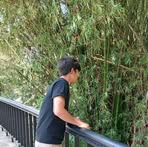 Daniel Corro - Facebook