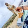 Daniel Corro - @daniel.corro46 - TikTok
