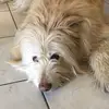daniele_corsini - @daniele_corsini - TikTok