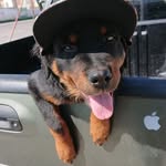 Daniel Cortero - @danielcortero - Instagram