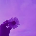 danii - @daniel.cory09 - Instagram