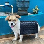 americo Daniel cosmann - @cosmannamericodaniel - Instagram