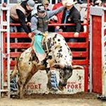 Daniel Cossette - @cossettedaniel - Instagram