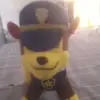 Daniel costantinidaniel1959@gm - @daniel.costantini6 - TikTok
