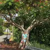 Daniel Scott - @daniel_scott2699 - TikTok