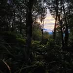 Daniel Cottrell - @blackgana77 - Instagram