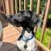Daniel Cottrill - Facebook