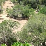 courteau - @danielcourteau75 - Instagram