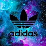 Daniel Coutts - @daniel_coutts2.0 - Instagram