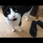Daniel Couzens - @danielcoz64 - Instagram