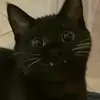 danielcowdreydann - @danielcowdreydann - TikTok