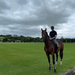 Daniel Coyle - @danielcoyle_ - Instagram