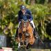 Daniel Coyle Showjumper - Facebook