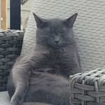 Daniel Crabtree - @chillyjasper - Instagram