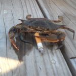 Daniel Yon Crabtree - @daniel.crabtree.391 - Instagram