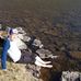 Daniel Craddock - Facebook